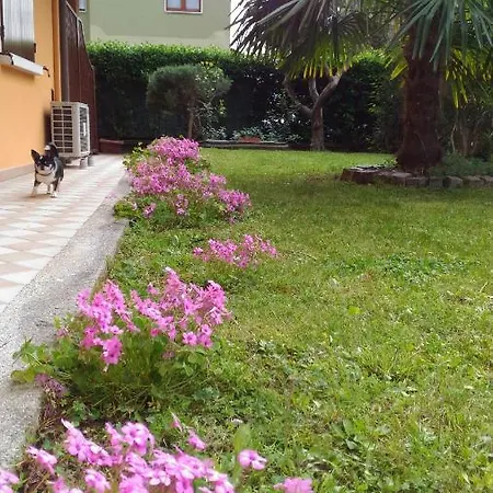 Nido Di Dafne